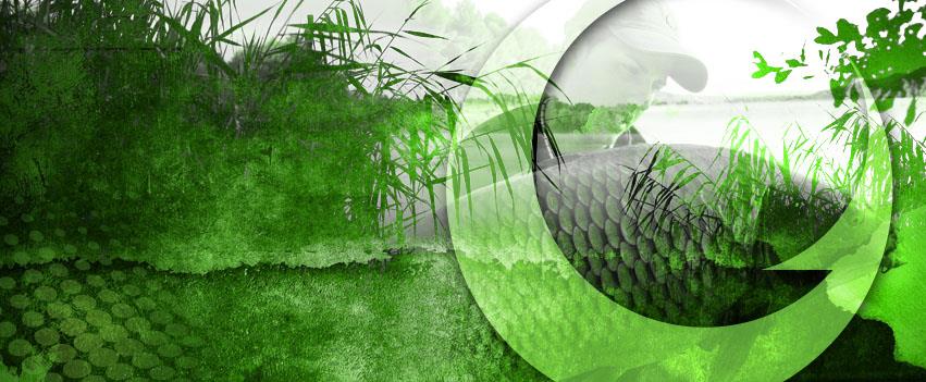 GARDNER - 1792062674533167210561365717535n.jpg